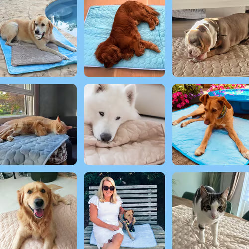 🔥🐾Dog Cooling Mat (4x more effective)